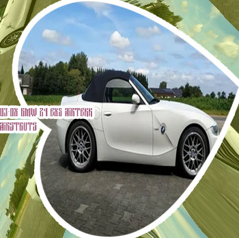 Bmw z4 e85